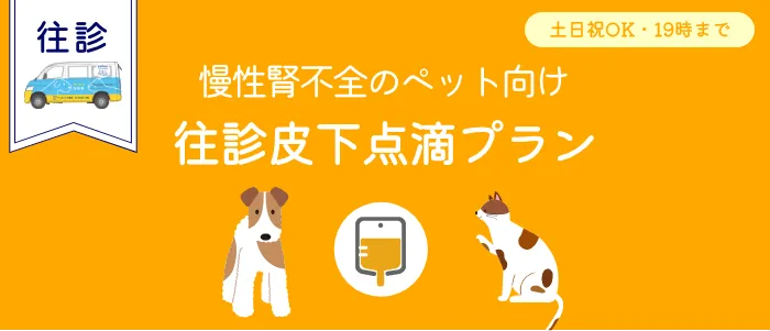 慢性腎不全のペット向け。往診皮下点滴プラン。