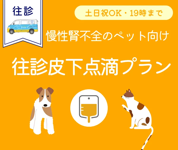 慢性腎不全のペット向け。往診皮下点滴プラン。