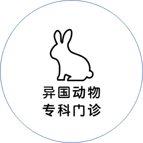 エキゾチック専門外来