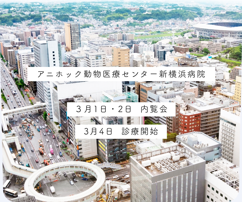 2月末オープン アニホック動物医療センター 新横浜病院