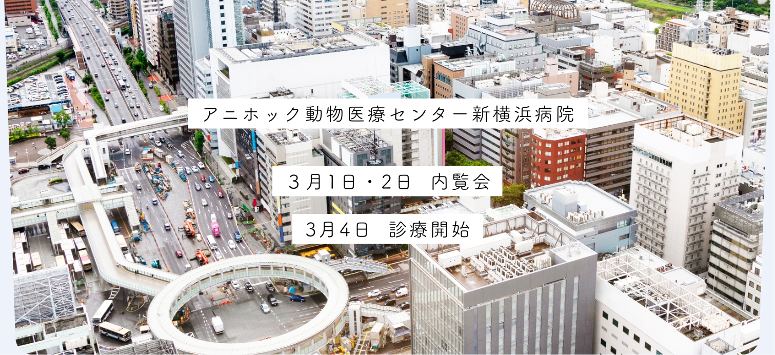 2月末オープン アニホック動物医療センター 新横浜病院