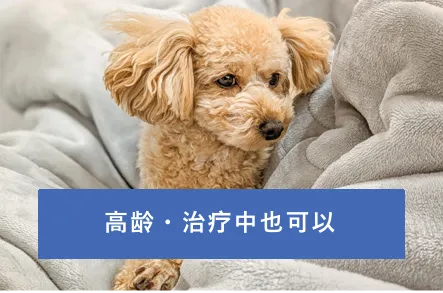 高齢・治療中でもOK