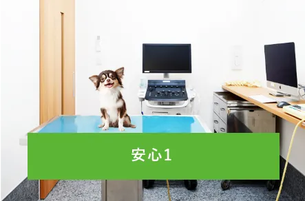 動物病院のトリミングなら安心