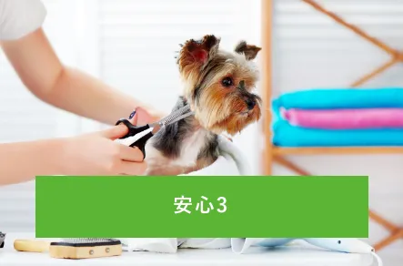 トリミング専属のスタッフで安心