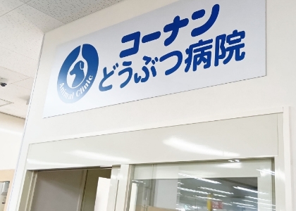コーナン練馬大泉どうぶつ病院
